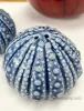 Sea Urchin Salt and Pepper Shakers - SECONDS