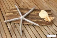Starfish Trivet